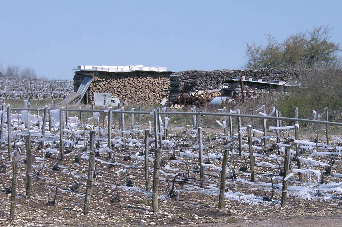 Champagne Ernest Rapeneau - Hiver
